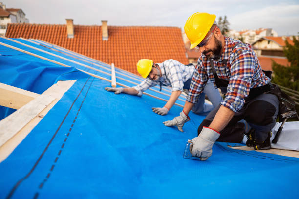 Best Roof Leak Repair  in Dunlap, OH