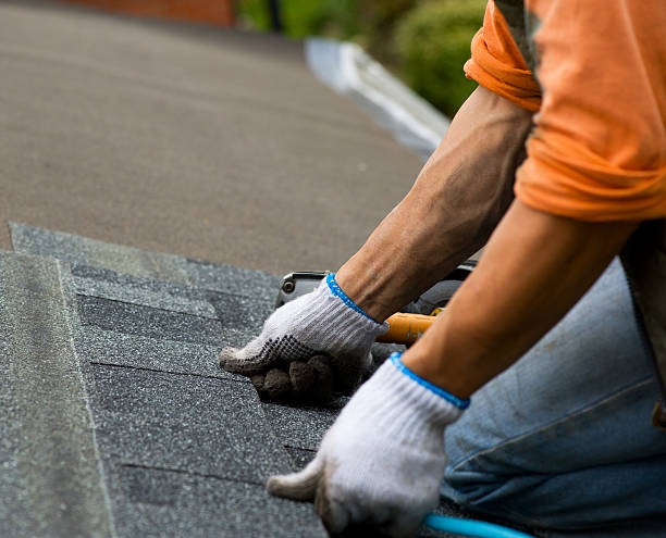 Best Gutter Installation and Roofing  in Dunlap, OH