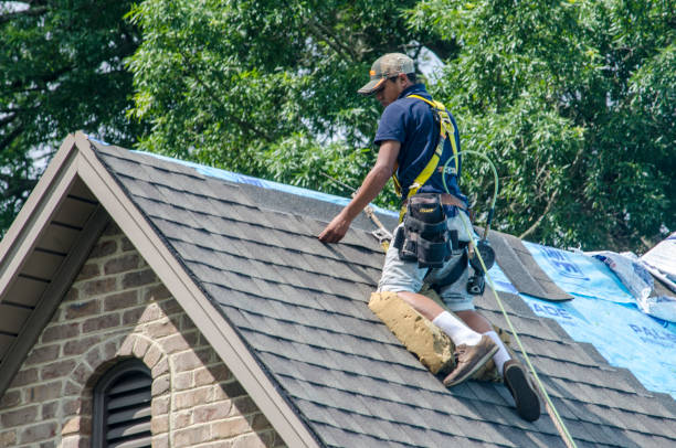 Best Roof Waterproofing Services  in Dunlap, OH